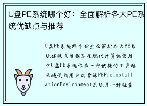 U盘PE系统哪个好：全面解析各大PE系统优缺点与推荐